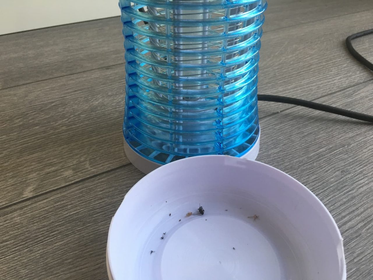 Backture Mückenfalle Auffangbehälter mit Insekten