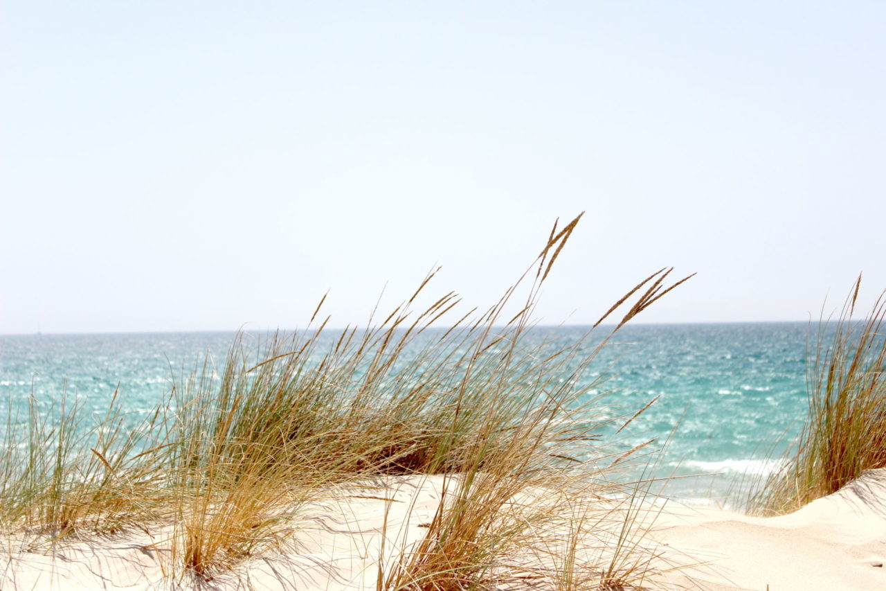 Strand mit Sand, Meer und Dünengras