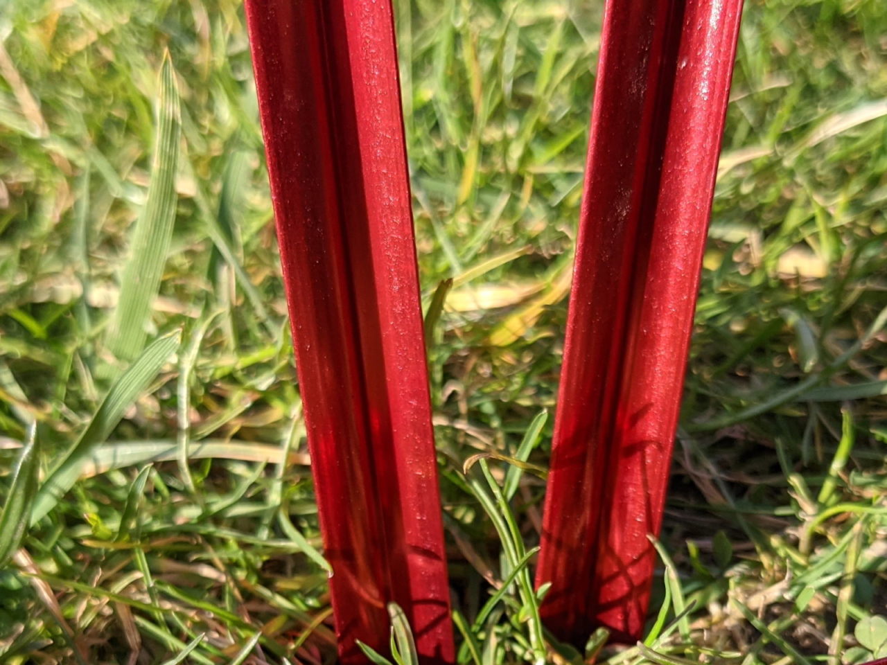 MSR Groundhog - Rot lackierter Schaft